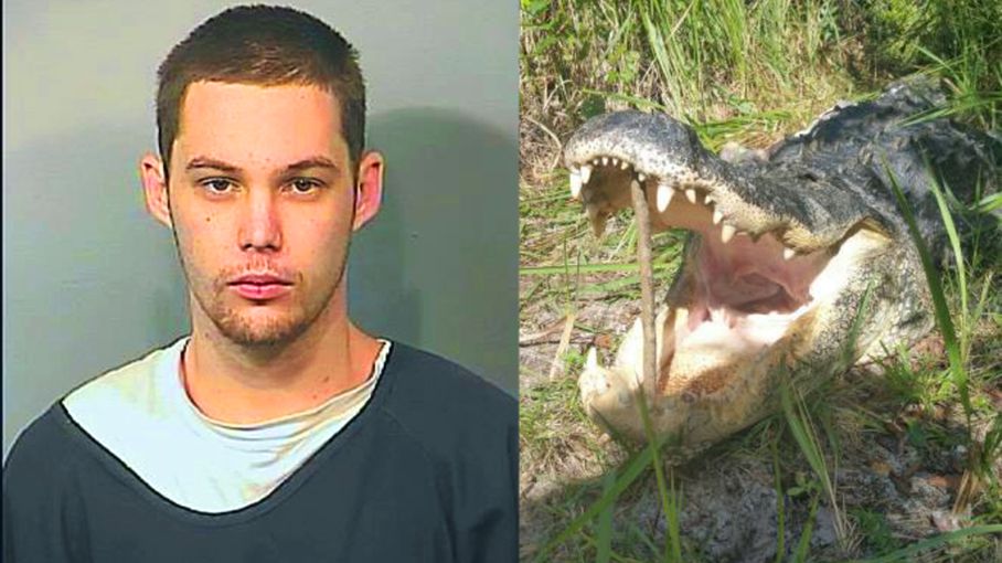 Burglary suspect evades cops, but gets eaten by gator | DailyPedia